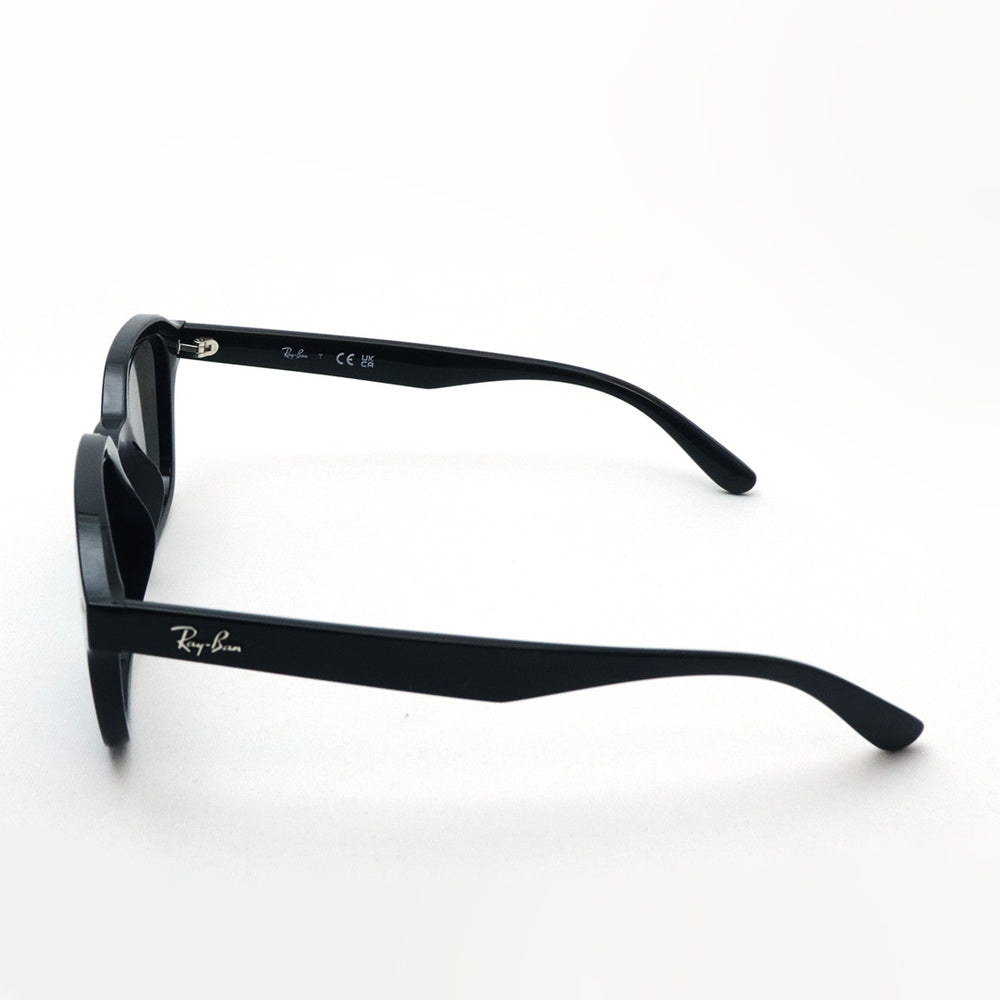 レイバン サングラス Ray-Ban RB4458D 6016V 65 スクエア