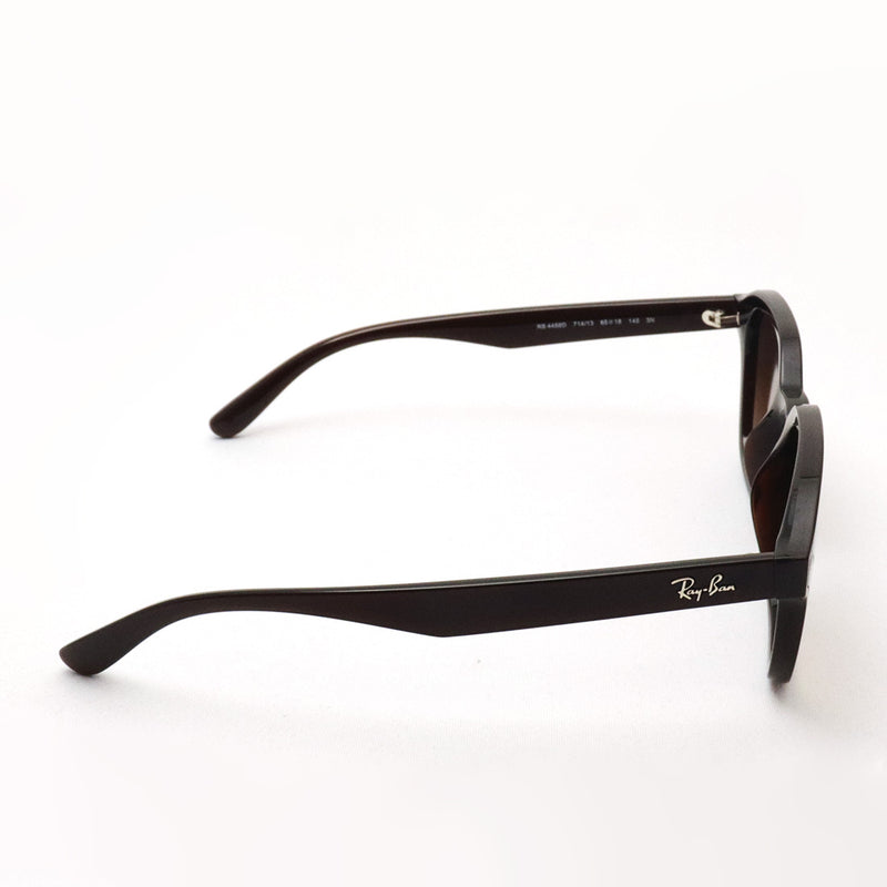 レイバン サングラス Ray-Ban RB4458D 71413 65 スクエア