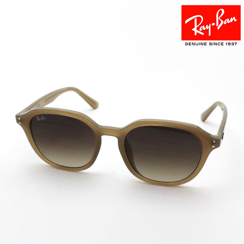 レイバン サングラス Ray-Ban RB4459D 616613 54 ラウンド