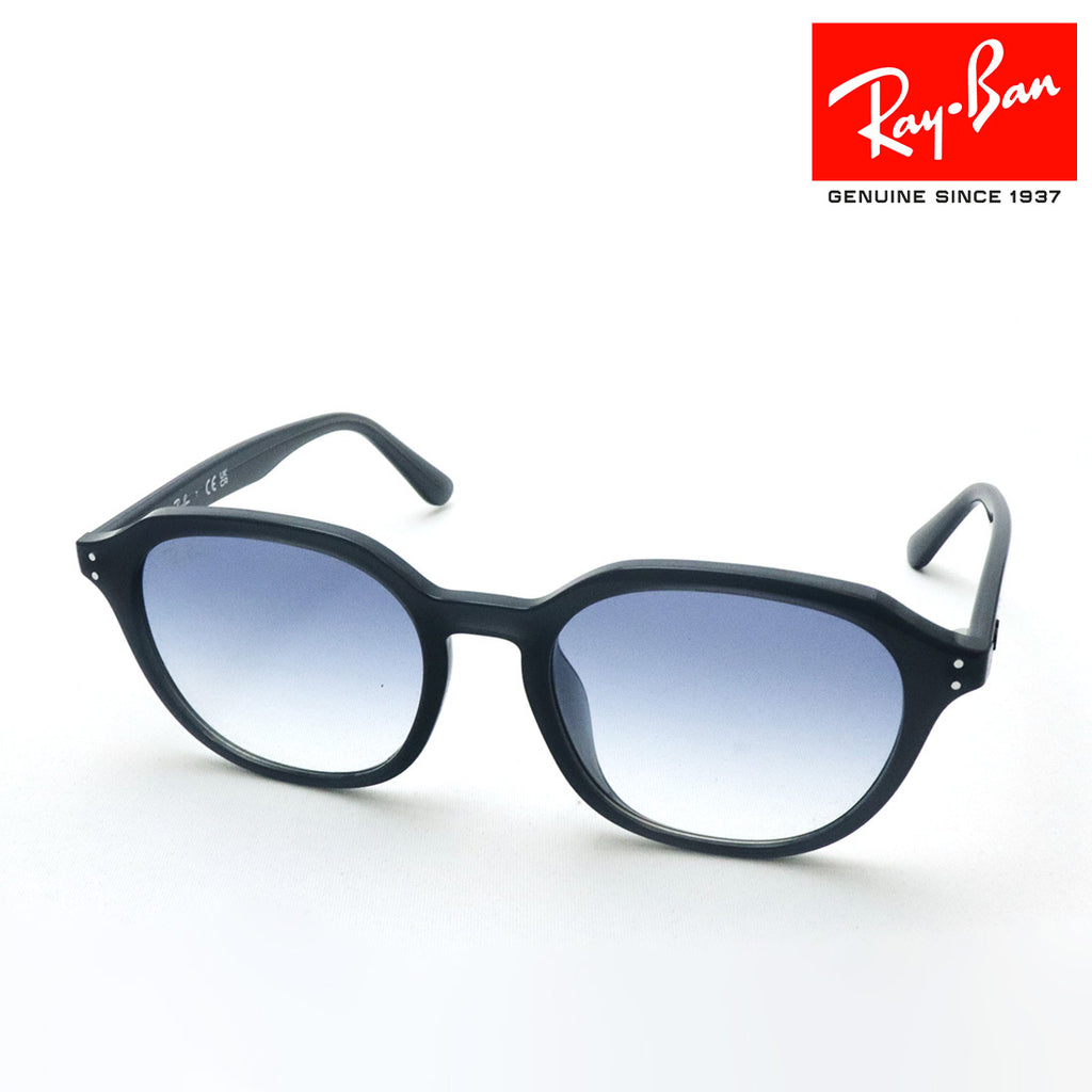 レイバン サングラス Ray-Ban RB4459D 623019 54 ラウンド