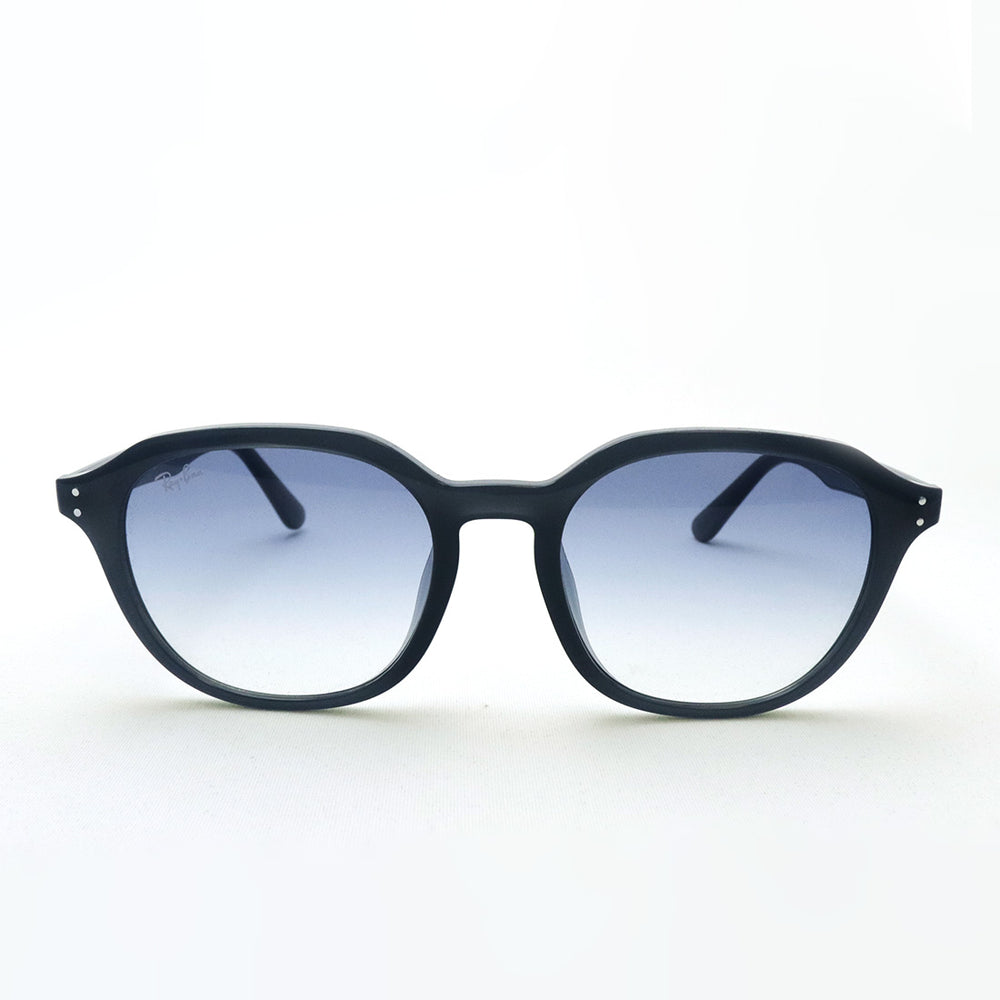 レイバン サングラス Ray-Ban RB4459D 623019 54 ラウンド