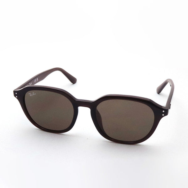 レイバン サングラス Ray-Ban RB4459D 623173 54 ラウンド