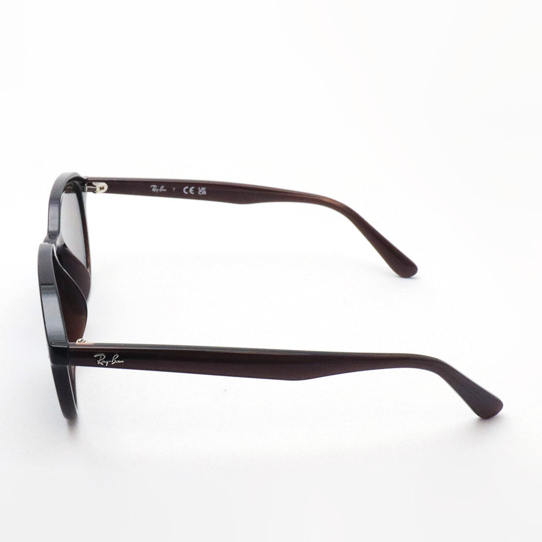 レイバン サングラス Ray-Ban RB4459D 623173 54 ラウンド