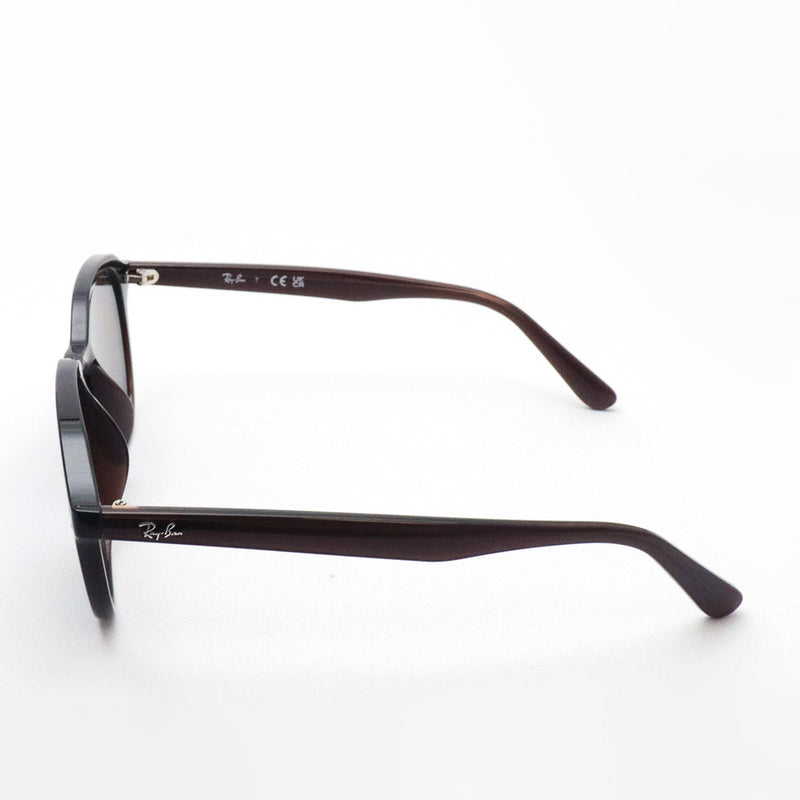 レイバン サングラス Ray-Ban RB4459D 623173 54 ラウンド