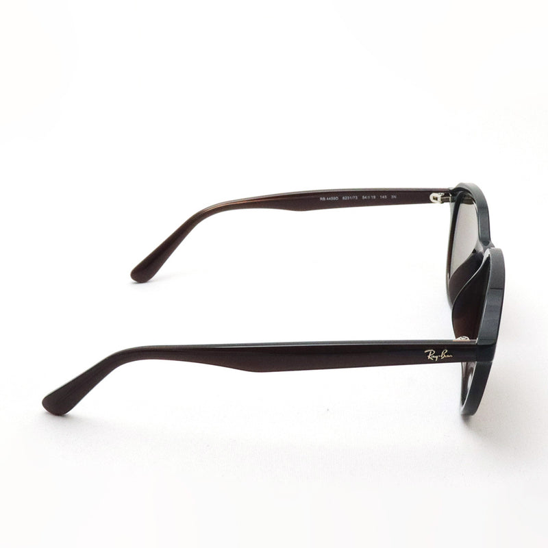 レイバン サングラス Ray-Ban RB4459D 623173 54 ラウンド