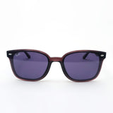レイバン サングラス Ray-Ban RB4461D 659373 64 スクエア