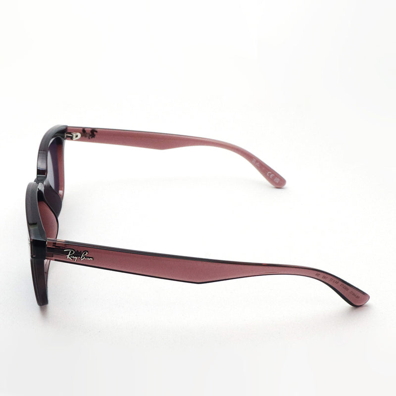 レイバン サングラス Ray-Ban RB4461D 659373 64 スクエア