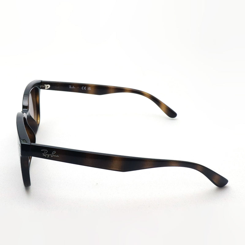 レイバン サングラス Ray-Ban RB4461D 71013 64 スクエア