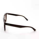 レイバン サングラス Ray-Ban RB4466D 71413 47
