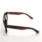 射线棕色太阳镜Ray-Ban RBR0502S 6709CB Wayfarer反向反向