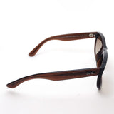 射线棕色太阳镜Ray-Ban RBR0502S 6709CB Wayfarer反向反向