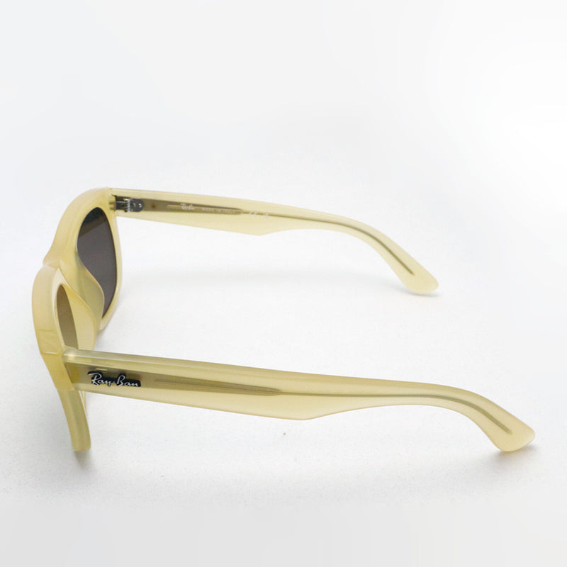 レイバン サングラス Ray-Ban RBR0502S 68215A 50 53 ウェイファーラー リバース REVERSE