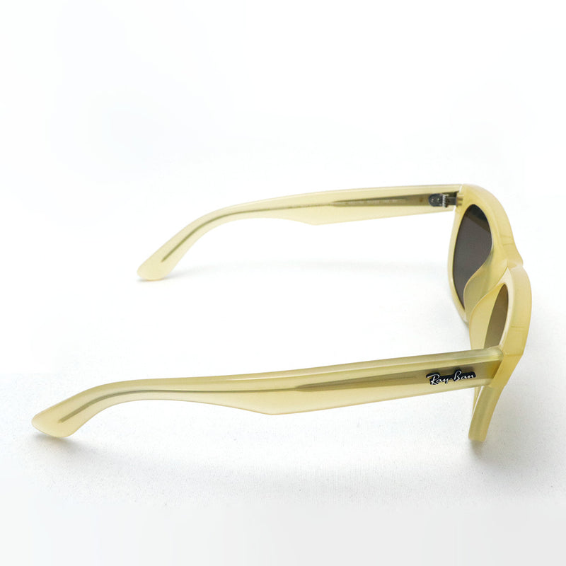 レイバン サングラス Ray-Ban RBR0502S 68215A 50 53 ウェイファーラー リバース REVERSE