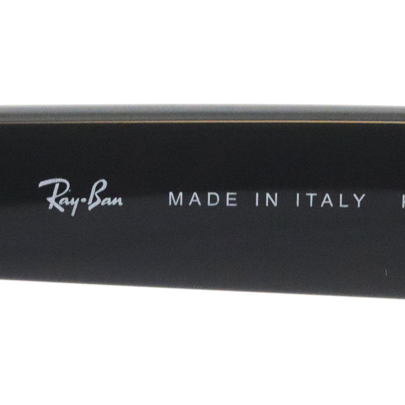レイバン サングラス Ray-Ban WAYFARER REVERSE ウェイファーラー リバース RBR0502SF 66771A 53 ウェリントン