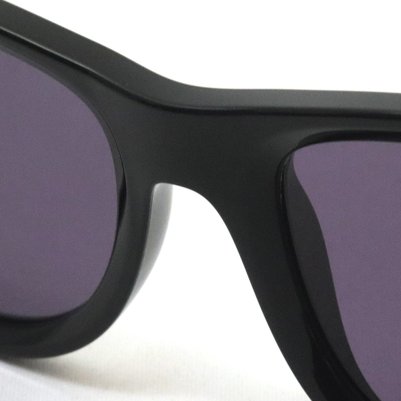 レイバン サングラス Ray-Ban WAYFARER REVERSE ウェイファーラー リバース RBR0502SF 66771A 53 ウェリントン