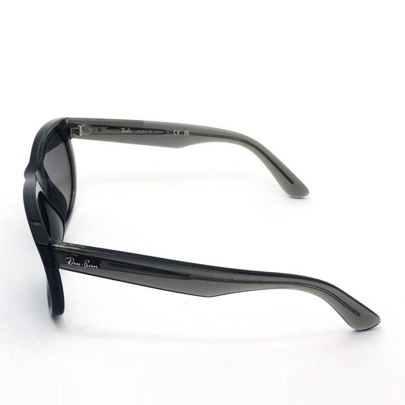 レイバン サングラス Ray-Ban WAYFARER REVERSE ウェイファーラー リバース RBR0502SF 6707GR 53 ウェリントン