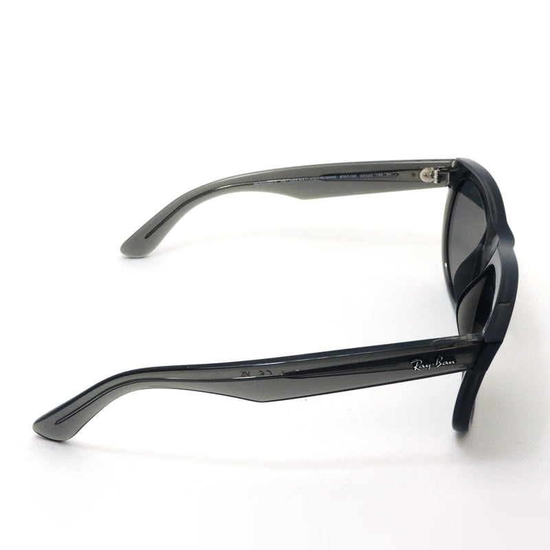 レイバン サングラス Ray-Ban WAYFARER REVERSE ウェイファーラー リバース RBR0502SF 6707GR 53 ウェリントン