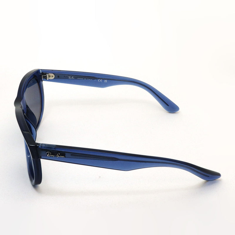 レイバン サングラス Ray-Ban WAYFARER REVERSE ウェイファーラー リバース RBR0502SF 67083A 53 ウェリントン