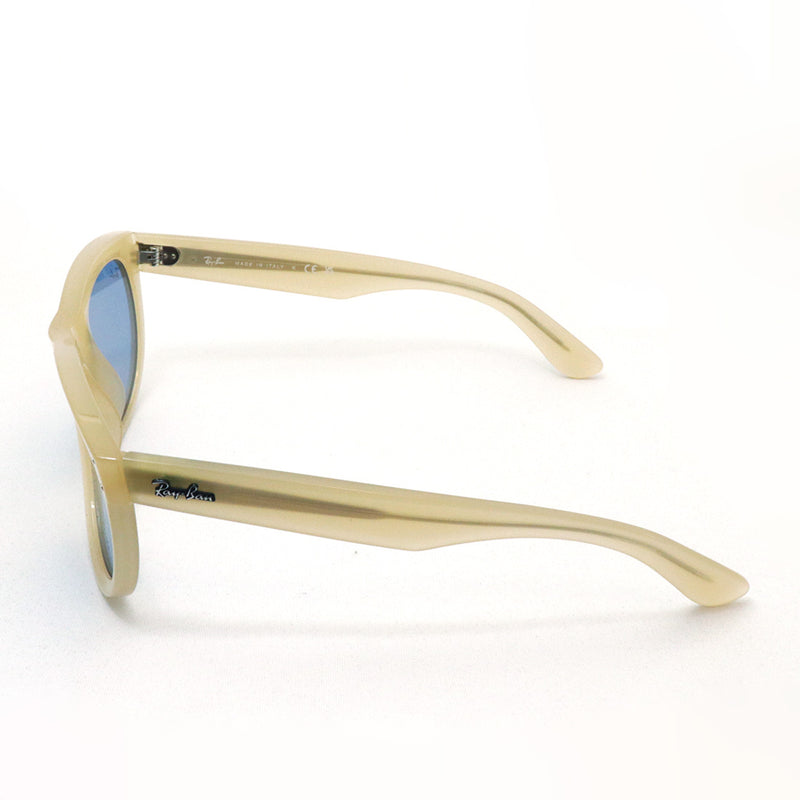 レイバン サングラス Ray-Ban WAYFARER REVERSE ウェイファーラー リバース RBR0502SF 678072 53 ウェリントン