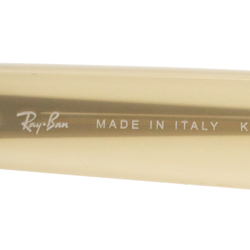 レイバン サングラス Ray-Ban WAYFARER REVERSE ウェイファーラー リバース RBR0502SF 678072 53 ウェリントン