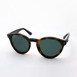 レイバン サングラス Ray-Ban RBR0505S 6790VR 52 REVERSE リバース ラウンド トータス系