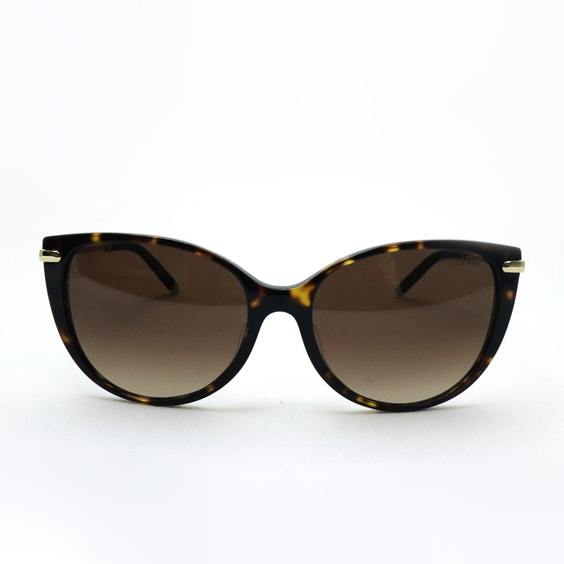 ティファニー サングラス TIFFANY&Co. TF4178F 80153B 57