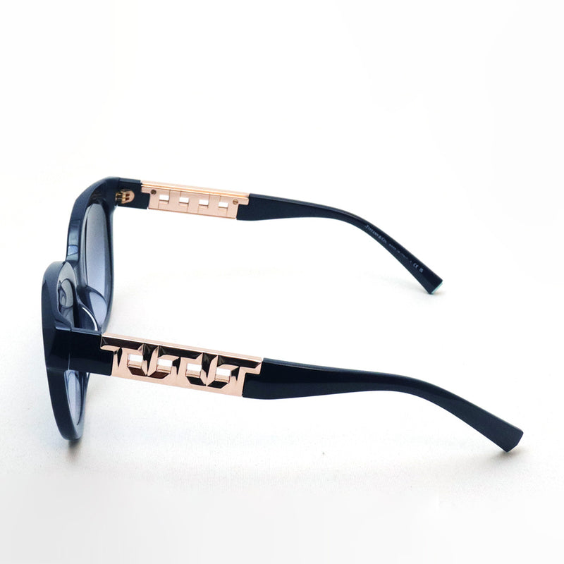 ティファニー サングラス TIFFANY&Co. TF4215F 83964Q 53