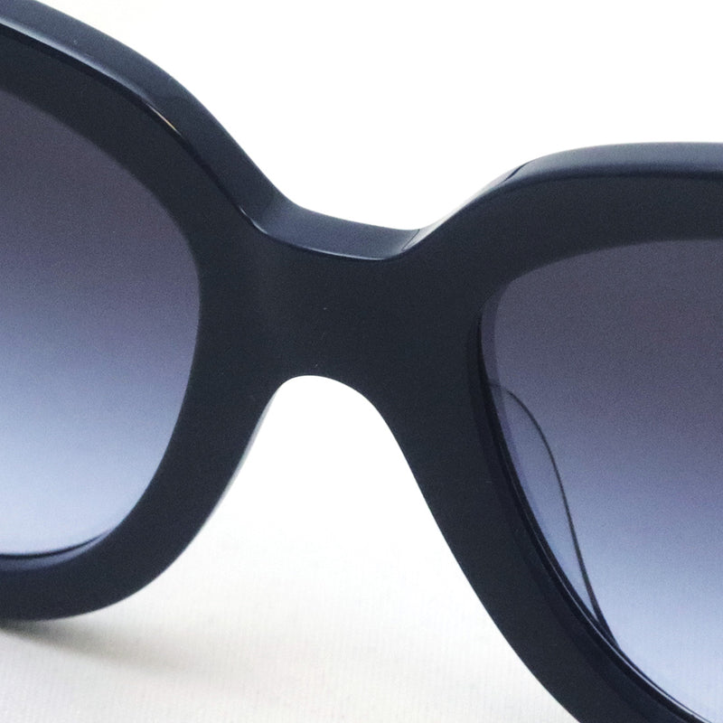 ティファニー サングラス TIFFANY&Co. TF4215F 83964Q 53