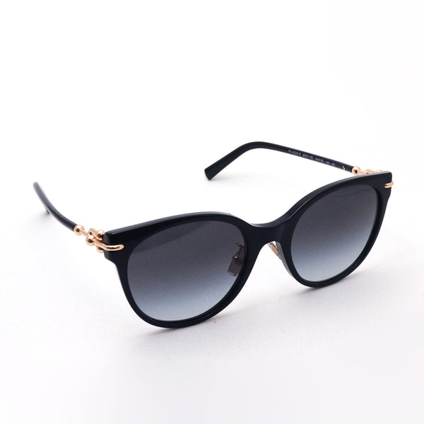 ティファニー サングラス TIFFANY&Co. TF4223D 80013C