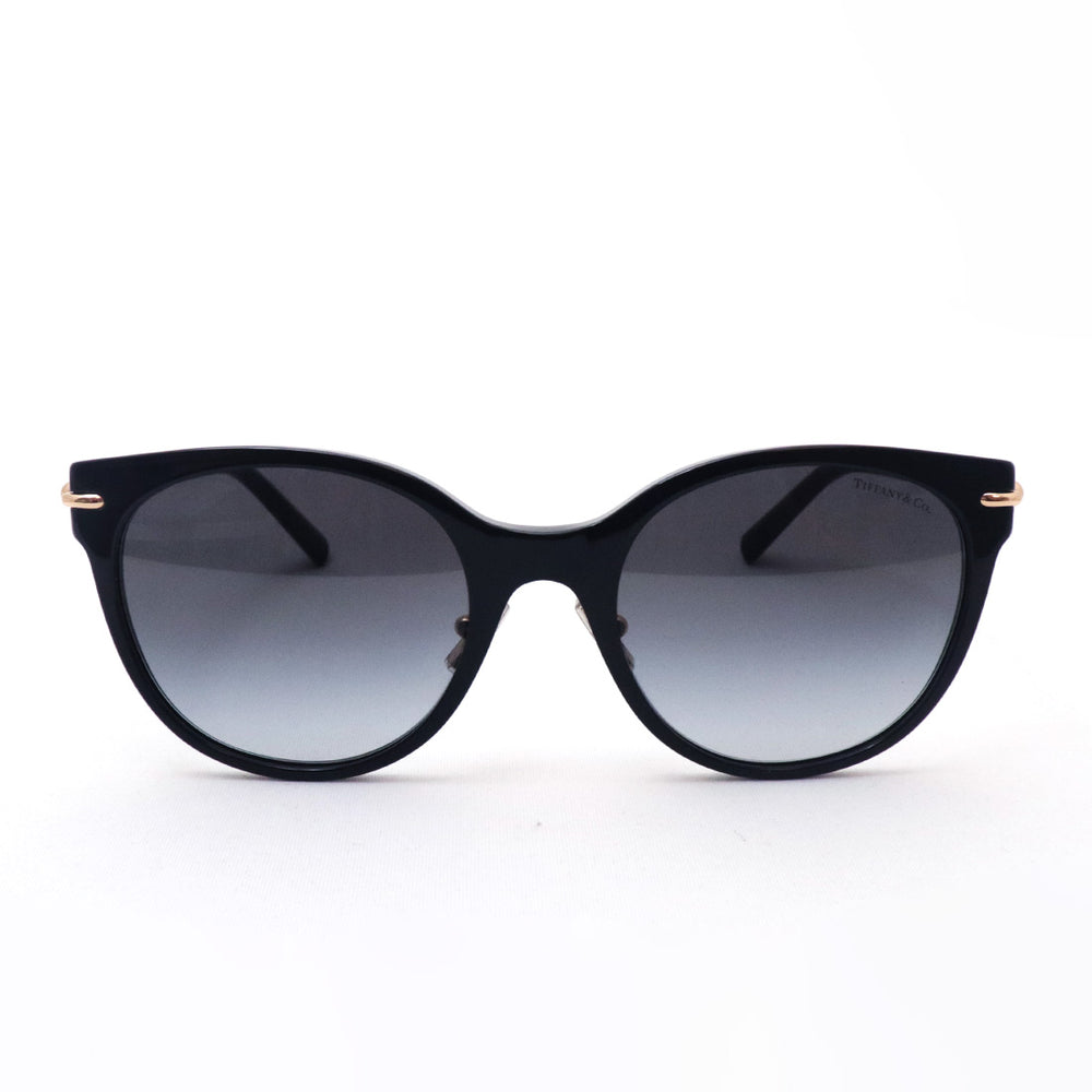 TIFFANY&CO. ティファニー サングラスTF-4223-D ハードウエア TIFFANY&CO. ティファニー サングラスTF-4223-D ハードウエア