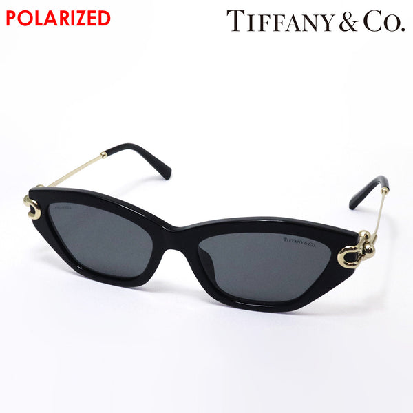 ティファニー 偏光サングラス TIFFANY&Co. TF4231U 800181
