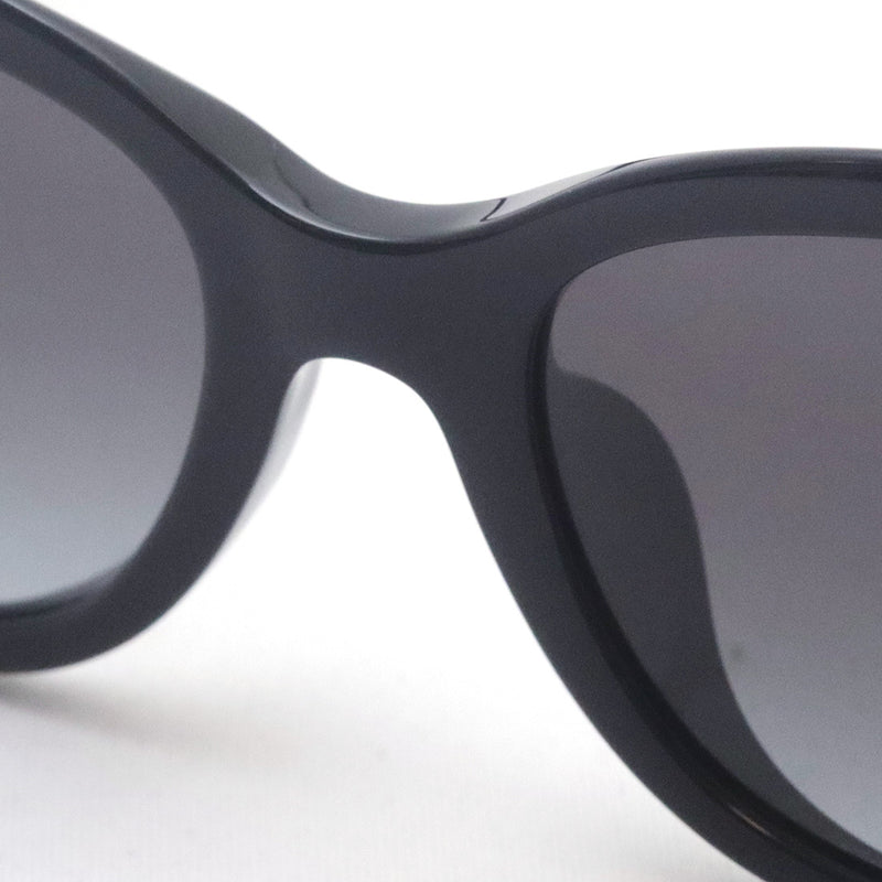 ティファニー サングラス TIFFANY&Co. TF4237BF 80013C 55