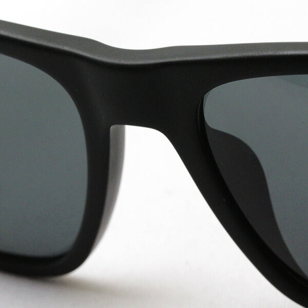 エンポリオアルマーニ サングラス EMPORIO ARMANI EA4124F