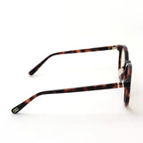 エンドレスアイウェア サングラス ENDLESS EYEWEAR E-02 TIGERS EYE-1