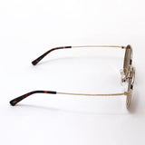 Gafas de sol de gafas interminables EJ-01 BR-01