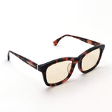 Endless Eyewear Sunglasses ENDLESS EYEWEAR TN-01 TIGERS EYE-1