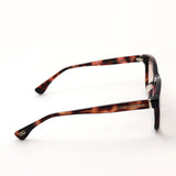 Endless Eyewear Sunglasses ENDLESS EYEWEAR TN-01 TIGERS EYE-2