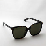 Gucci Sunglasses GUCCI GG0022SA 002