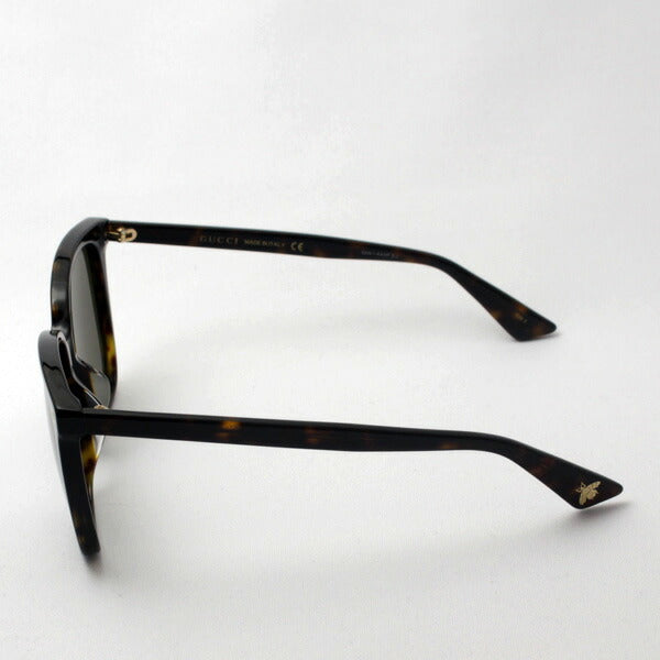 Gucci Sunglasses GUCCI GG0022SA 002