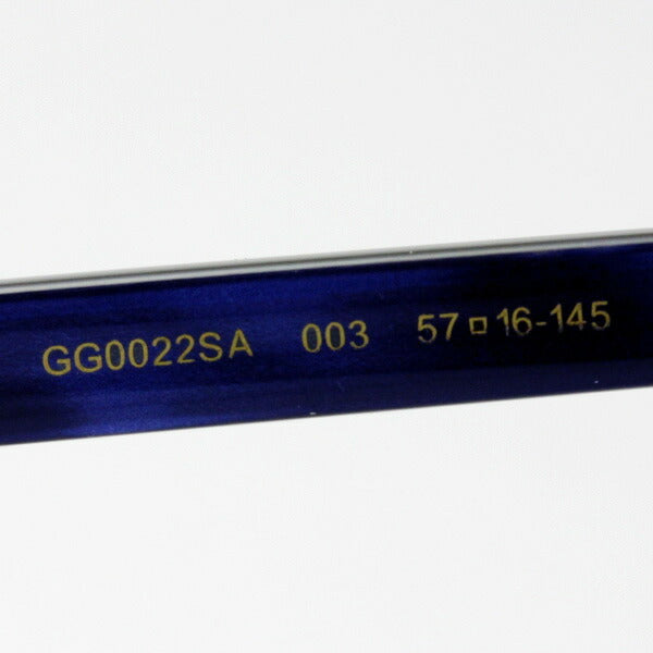 Gucci Sunglasses GUCCI GG0022SA 003