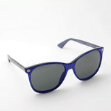 Gucci Sunglasses GUCCI GG0024S 005