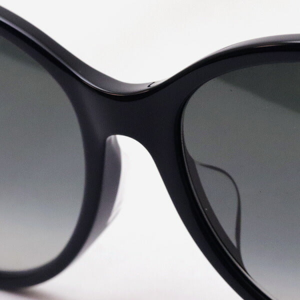 Gucci Sunglasses GUCCI GG0729SA 001