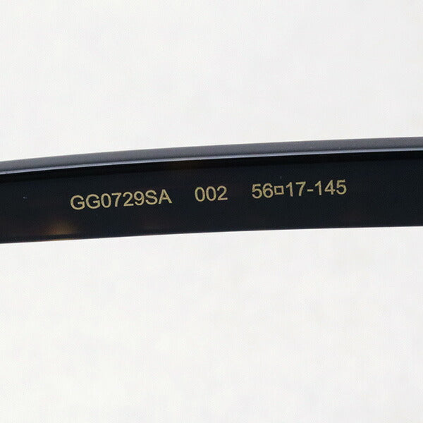 Gucci Sunglasses GUCCI GG0729SA 002