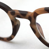 Hub Arrouch HAVE A LOOK PC Glasses Reading Glass Type C Tortoise