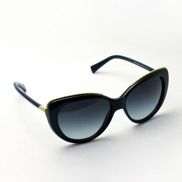 COACH コーチ サングラス HC8157 500211 SALE Coach Sunglasses COACH Sunglasses HC8157 500211