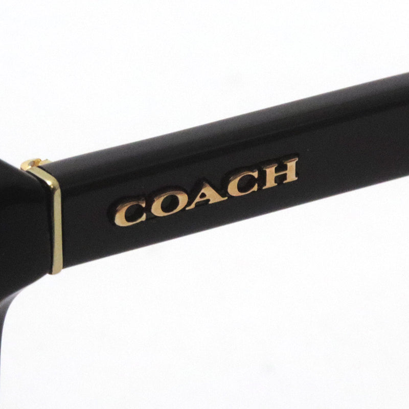 SALE コーチ サングラス COACH HC8199D 500211