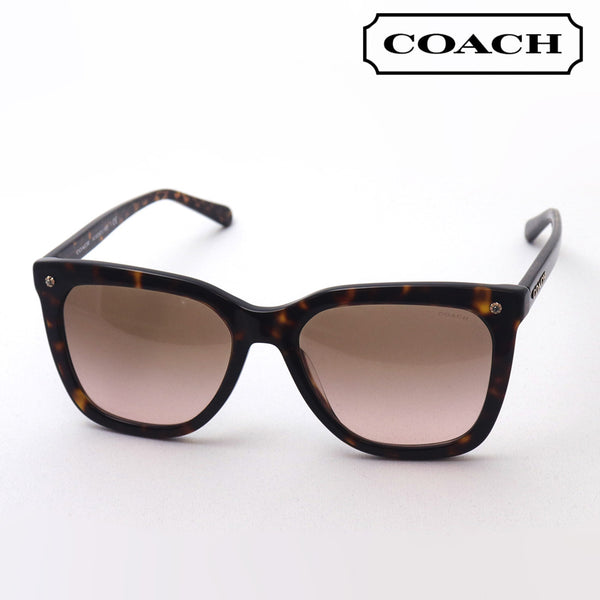 Gafas de sol de entrenador de gafas de sol de venta HC8224D 512011