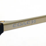 SALE Coach Sunglasses COACH HC8246F 541713