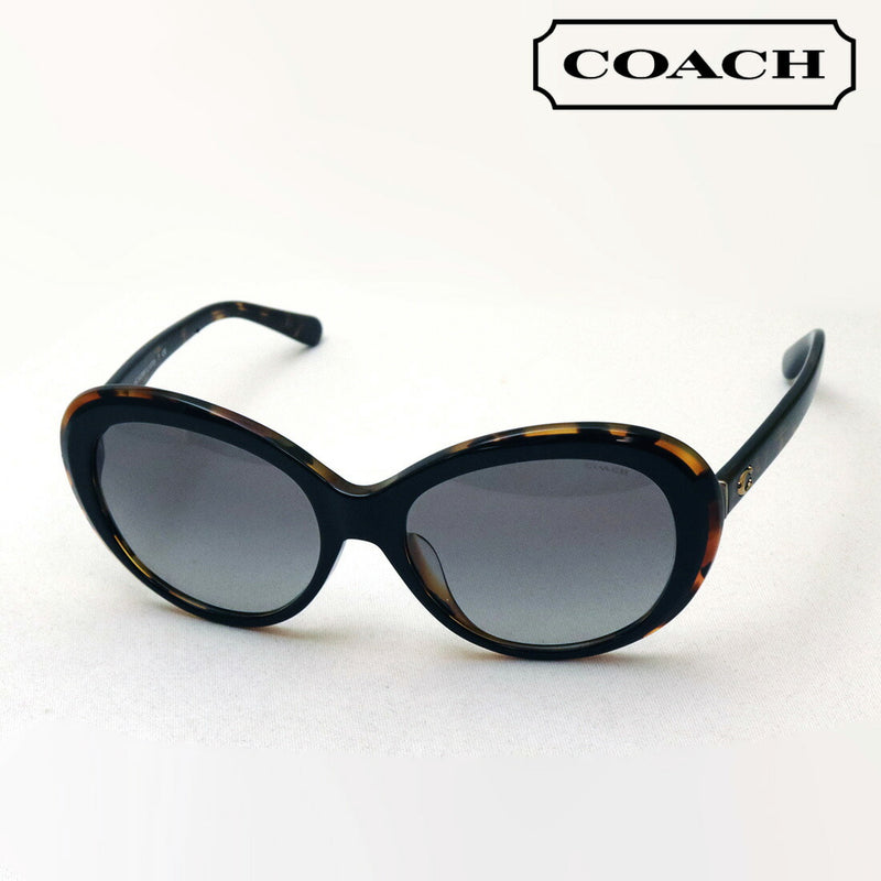 Gafas de sol de entrenador de gafas de sol de venta HC8259F 544611