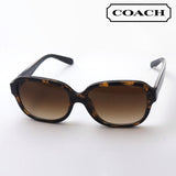 Gafas de sol del entrenador Gafas de sol del entrenador HC8298U 512074
